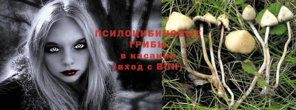индика Алексеевка
