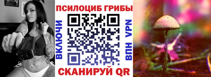 цена наркотик  Уварово  Галлюциногенные грибы Cubensis 
